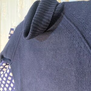Cashmere Banana Republic Navy Turtleneck Sweater